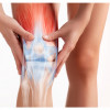 Life Impulse® Joint Elixir